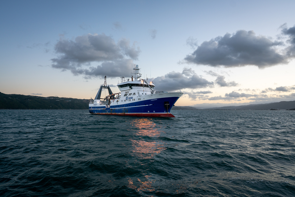 2024 03 ANCHOR RESEARCH mackay HI  DSC8567 (1)