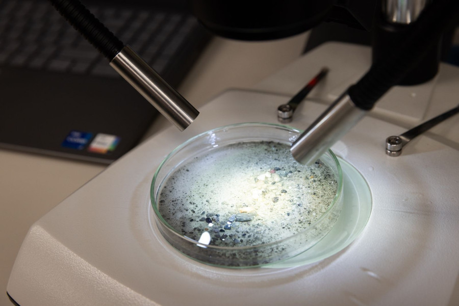 A sediment sample ready to be searched for foraminifera microfossils. Photo: Ana Tovey / SWAIS2C 