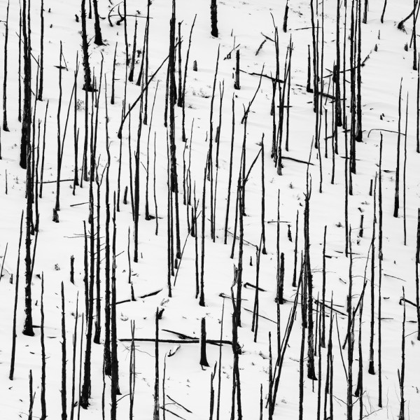 Matches, Shannan Crow 