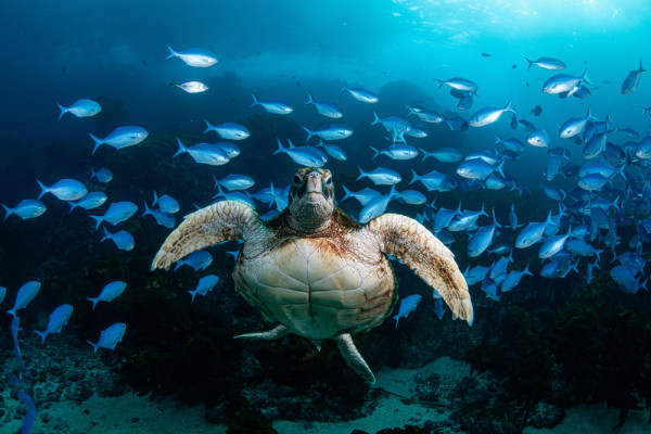 Duuuuuuude, why is it so cold?, Crispin Middleton