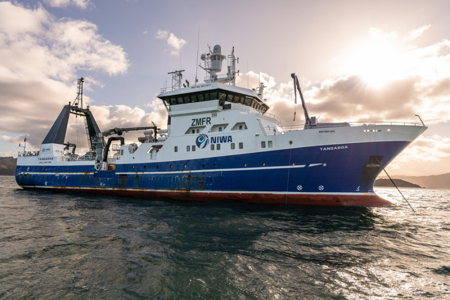 2024 03 ANCHOR RESEARCH mackay HI  DSC8643