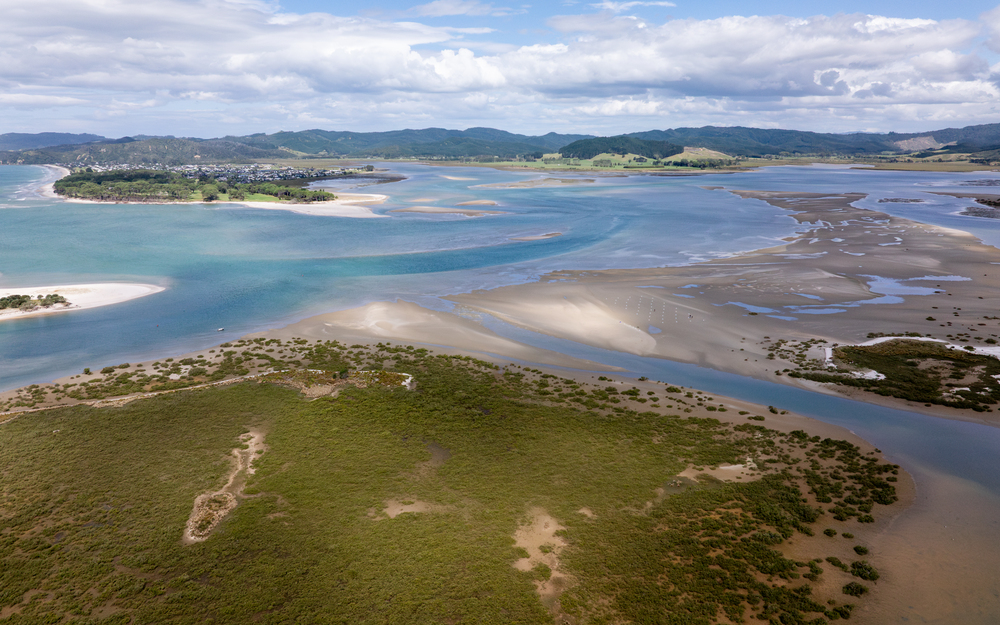 2026 02 HEATWAVE WHANGAPOUA ESTUARY HI mackay DJI 20260216155249 0003 D Enhanced NR