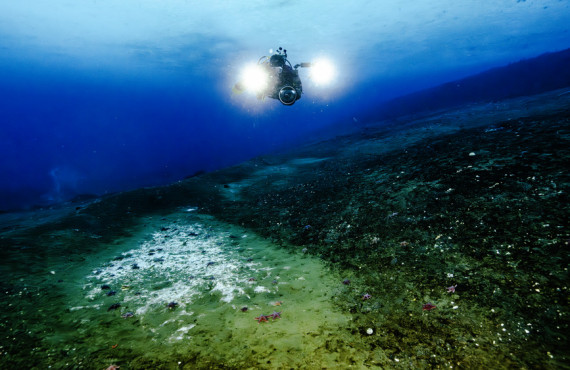 Divers surveying a methane seep at Cape Evans   Credit Leigh Tait   Earth Sciences NZ