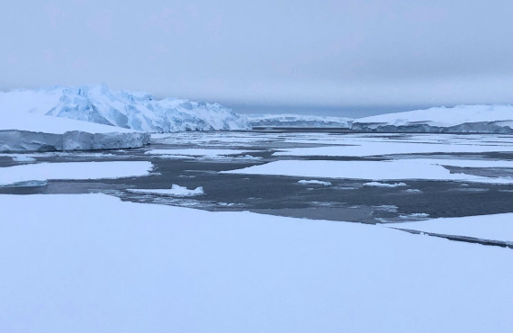 Grounded icebergs to the west of Ninnis Glacier credit Johan Etourneau