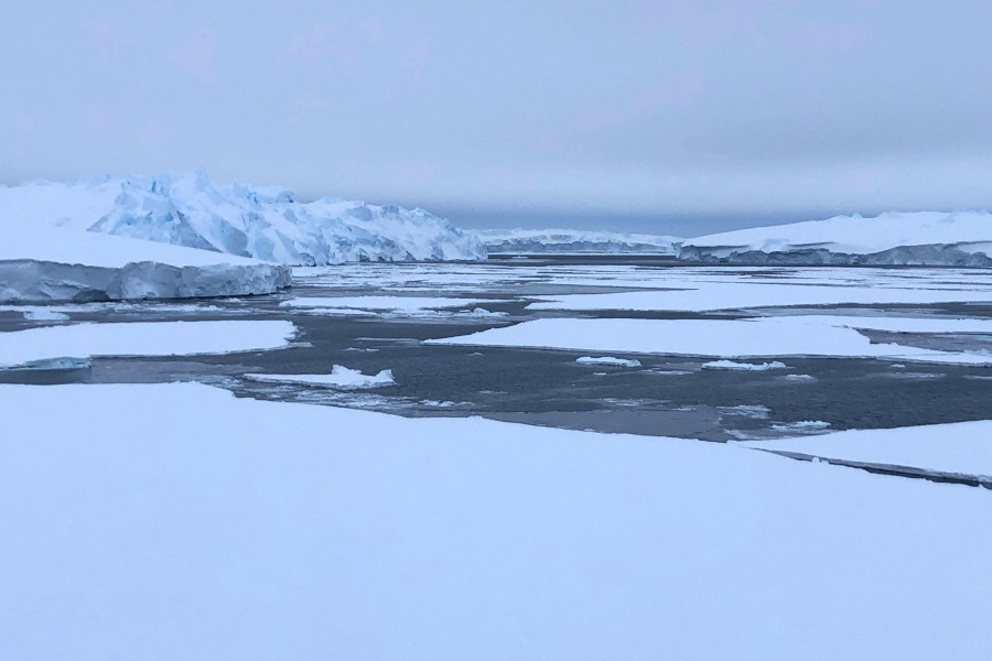 Grounded icebergs to the west of Ninnis Glacier credit Johan Etourneau