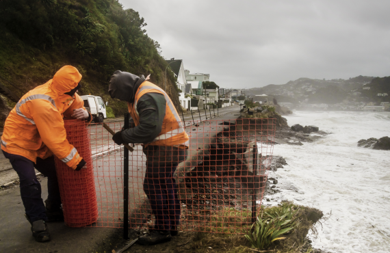 storm wellington south coast DSC4857 credit dave allen NIWA